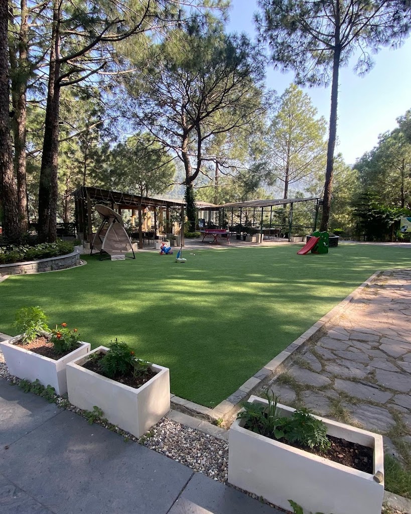 Kasauli Hills Resort Best Luxury Resort And Hotel