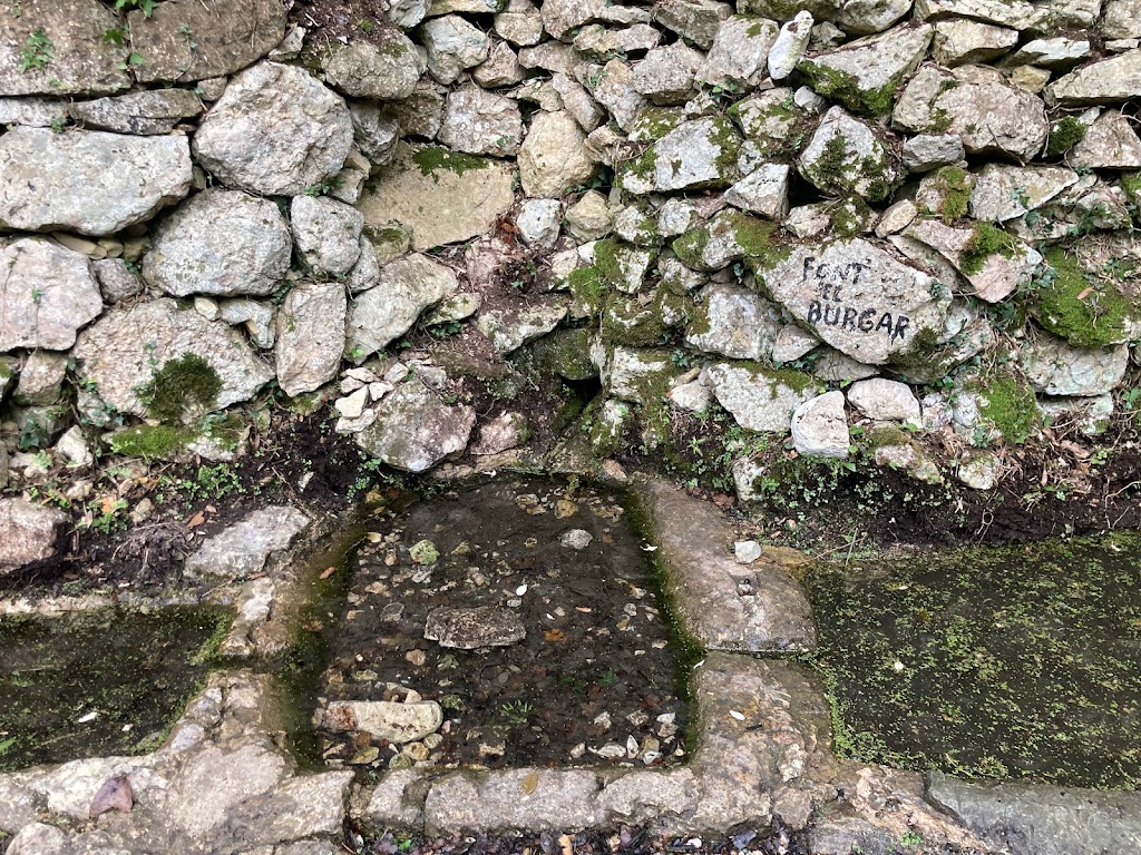 Fuente del Burgar