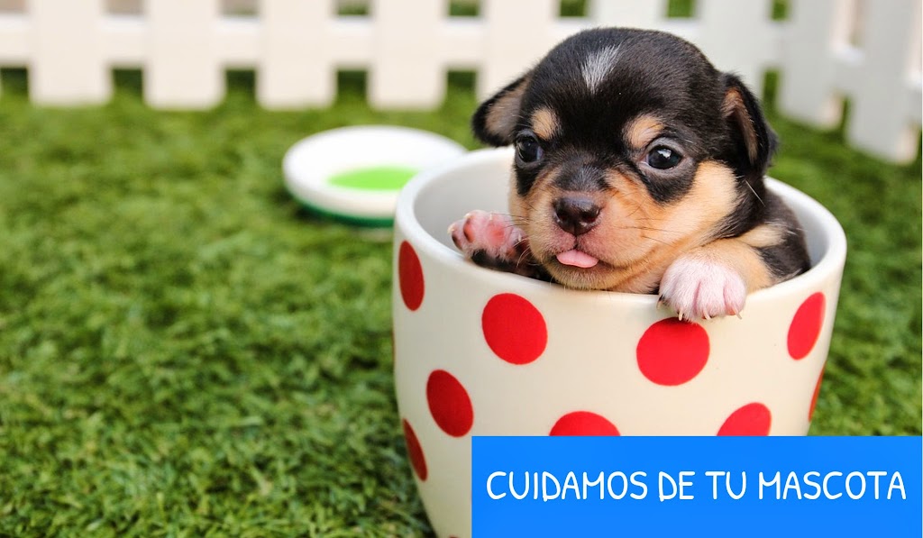 Centro Veterinario La Marjal