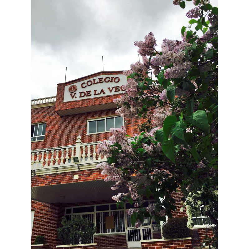 Colegio Virgen de La Vega — Del propietario