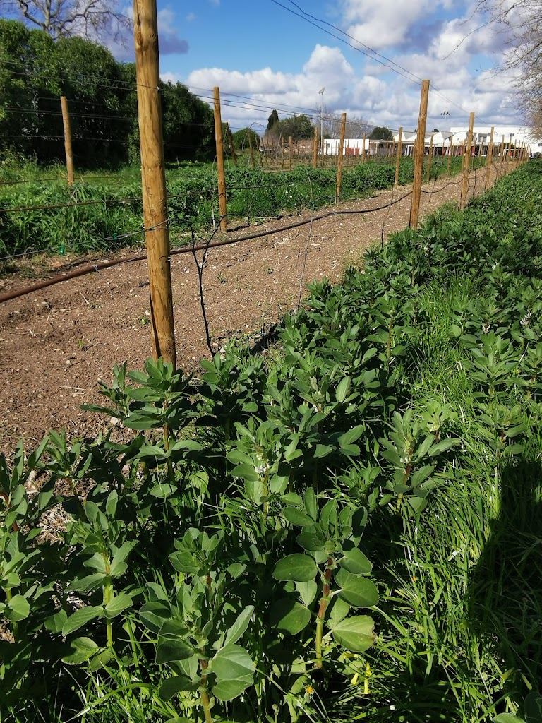 FP Agraria / IES Felanitx