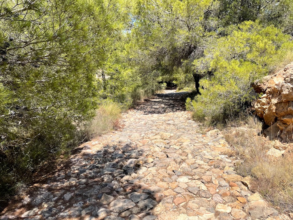 Calzada Romana Monte Cenizas
