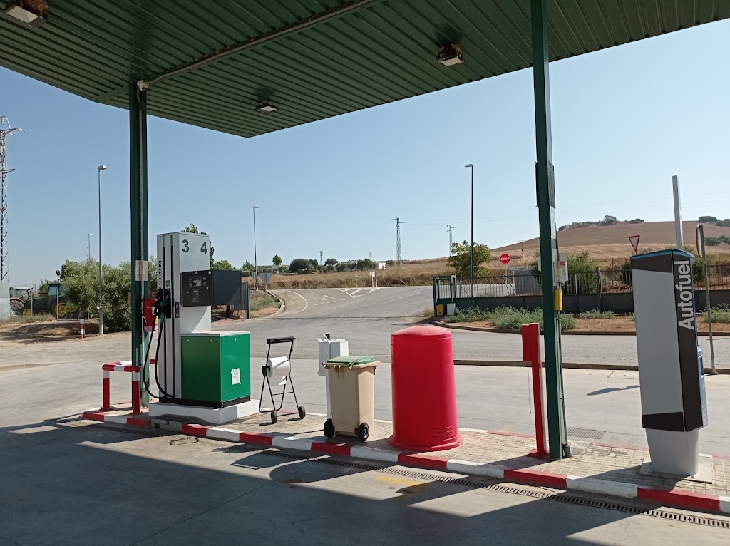Gasolinera CAPI — Estacion de servicio