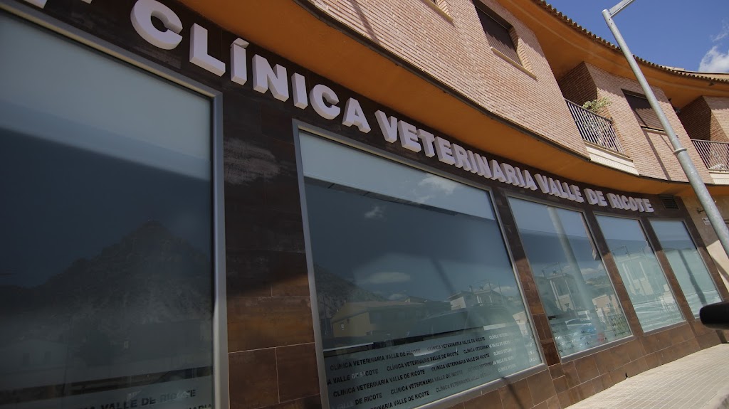 Clinica Veterinaria Valle De Ricote