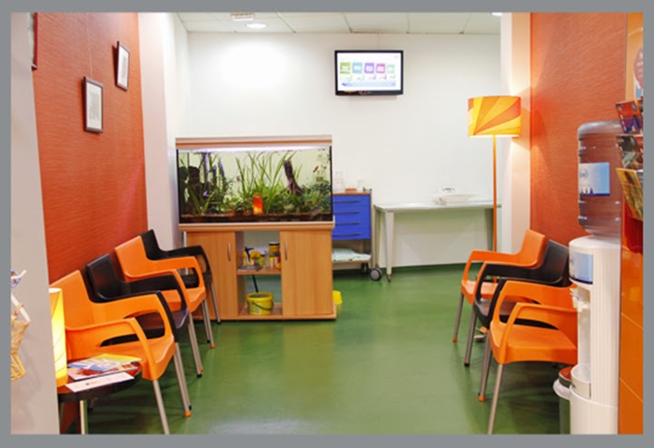 Clinica Veterinaria Salzillo — Del propietario