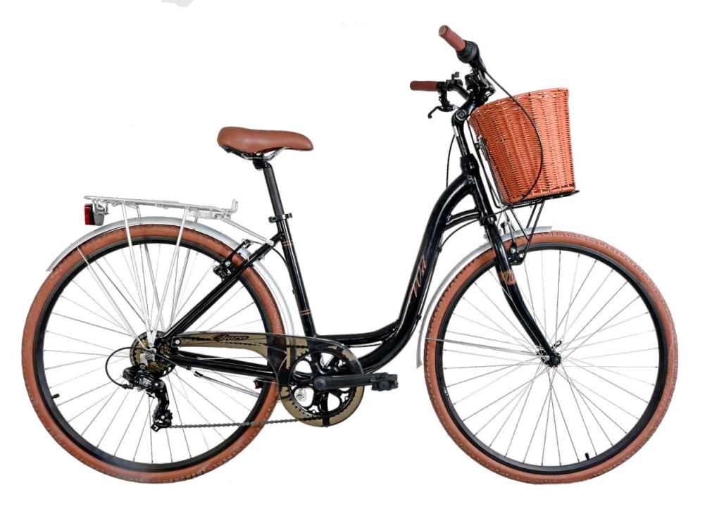Reparacion y alquiler de bicis electricas Lo pagan