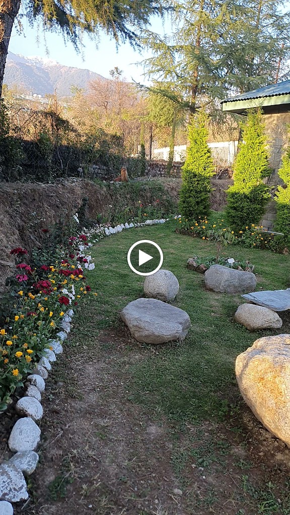 Videos