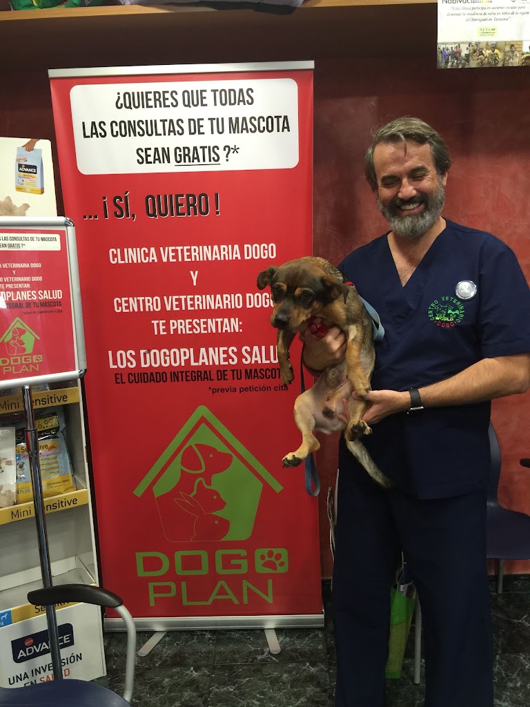 CENTRO VETERINARIO DOGO — Perro