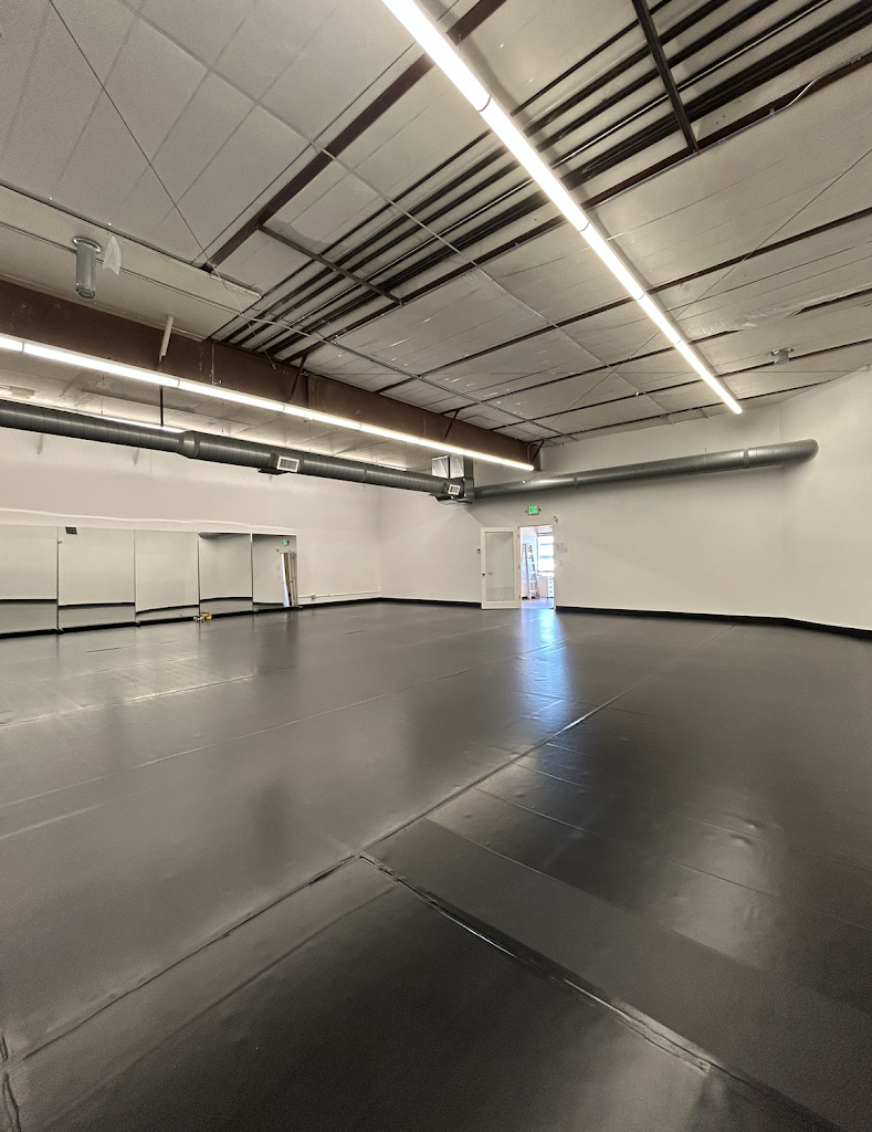  The Movement Project