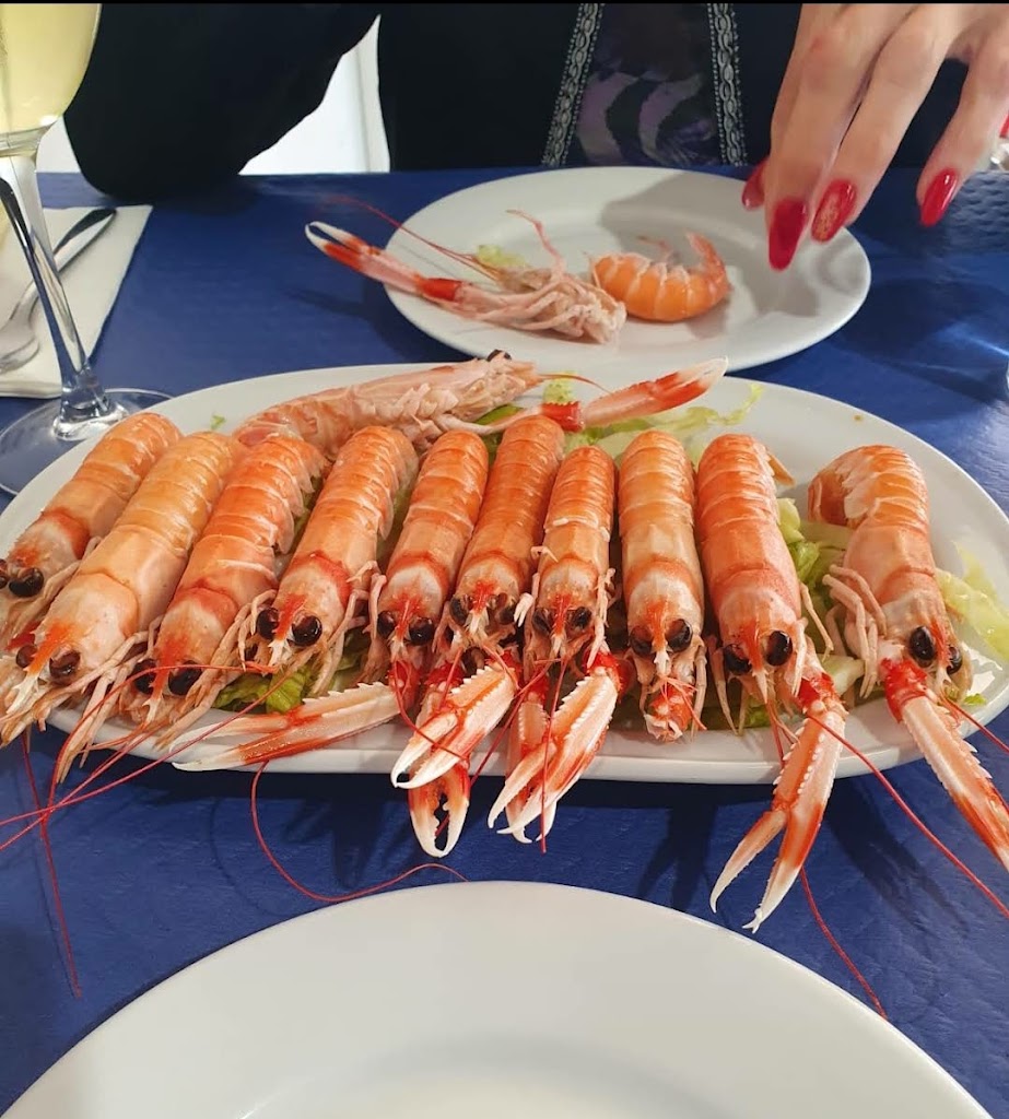 Casa Marina, Cerveceria Bar Restaurante — Comida y bebida