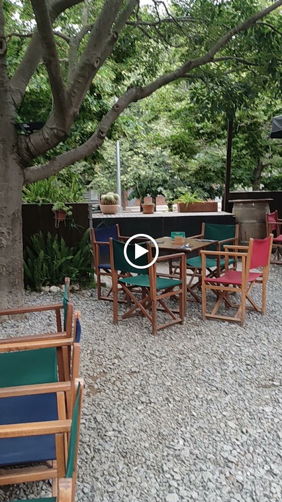 Bar Bocamoll — Videos