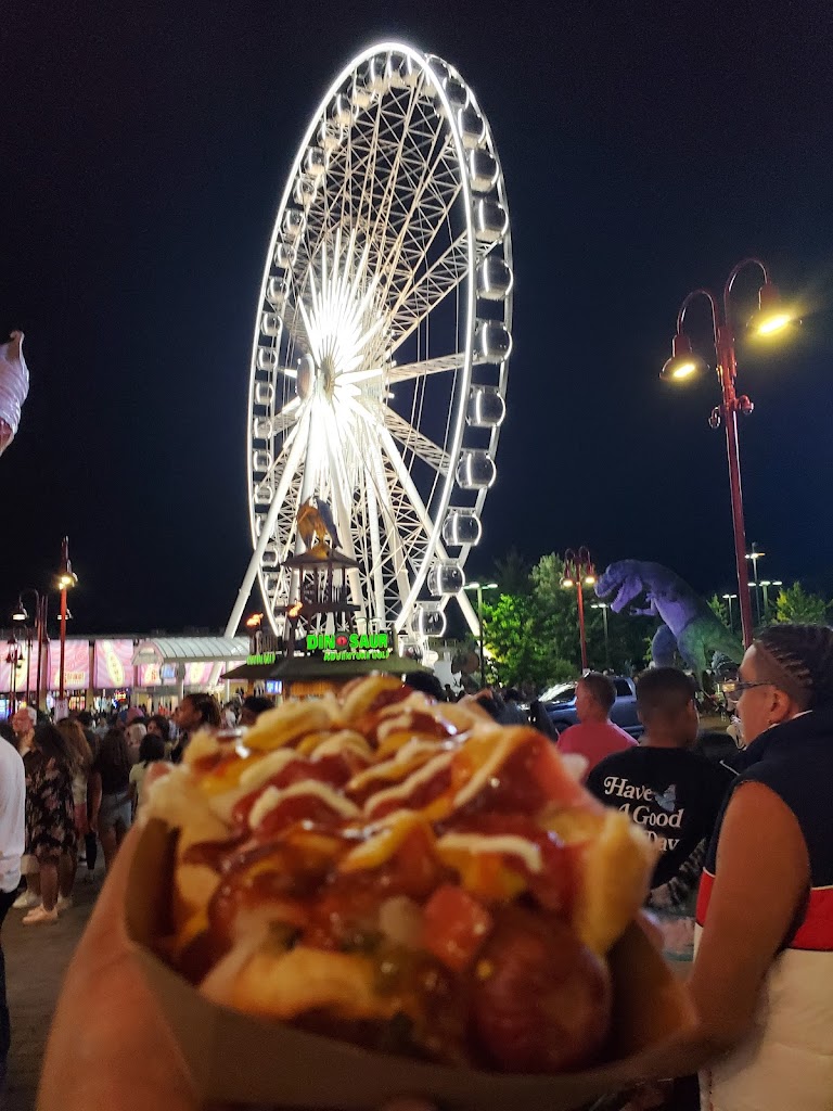 Niagara SkyWheel
