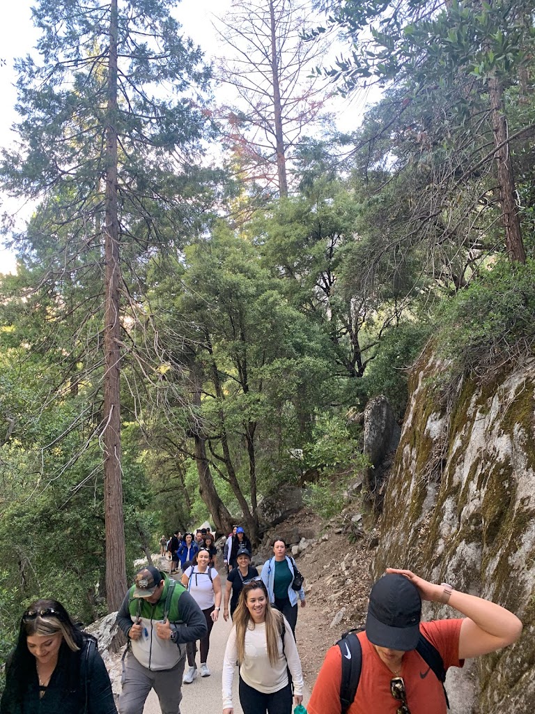  Optimal Training Health & Fitness