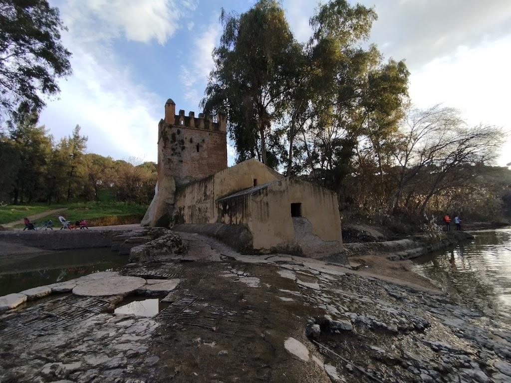 Molinos Alcala — Mas recientes
