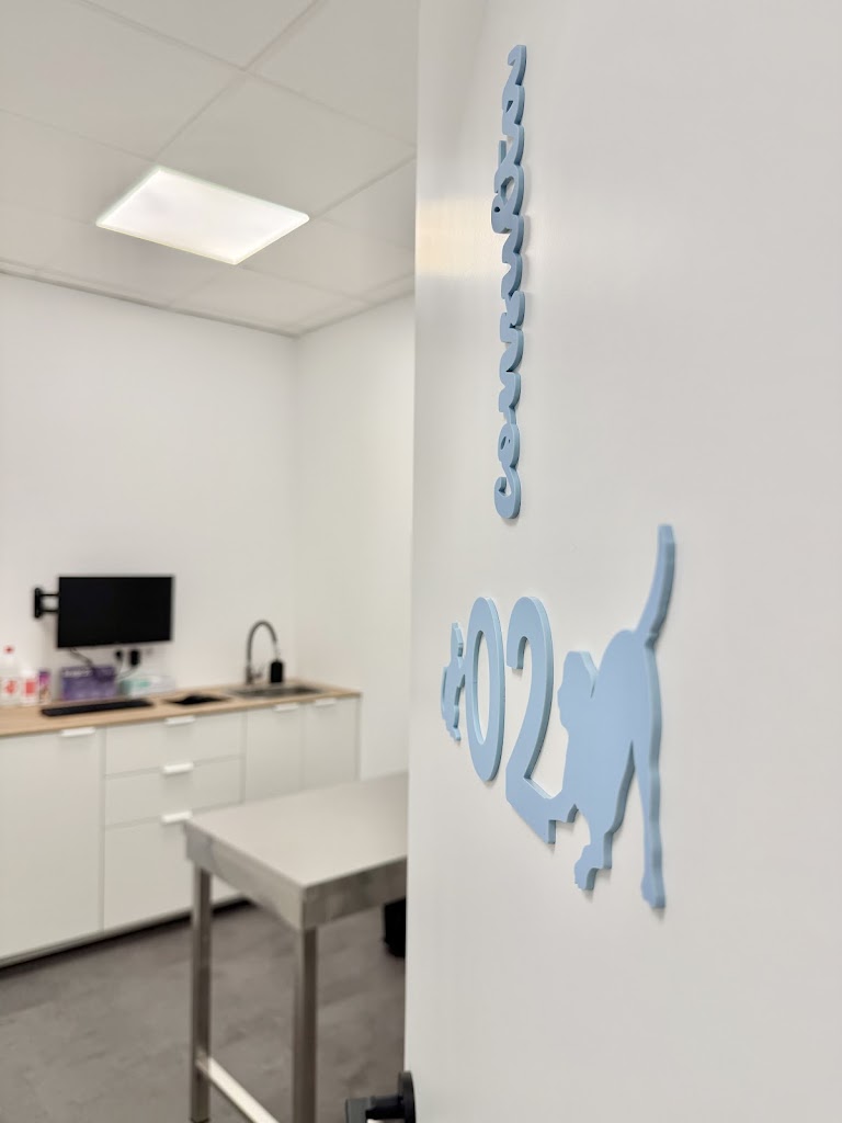 Aura Veterinaris — Del propietario