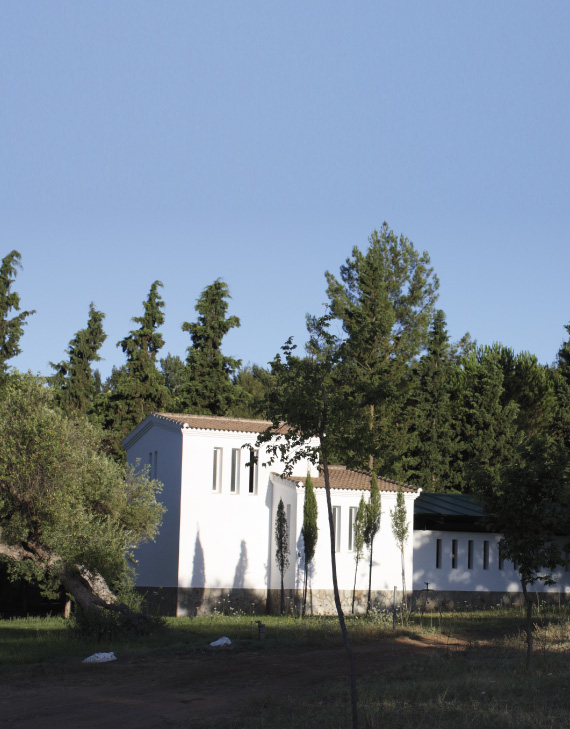 Campamento El Pinsapar