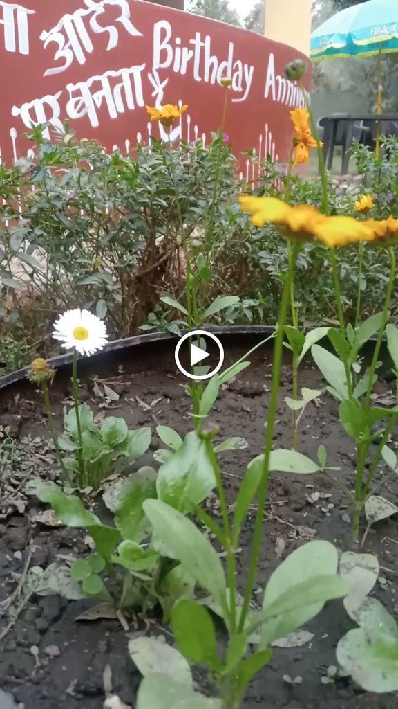 Videos