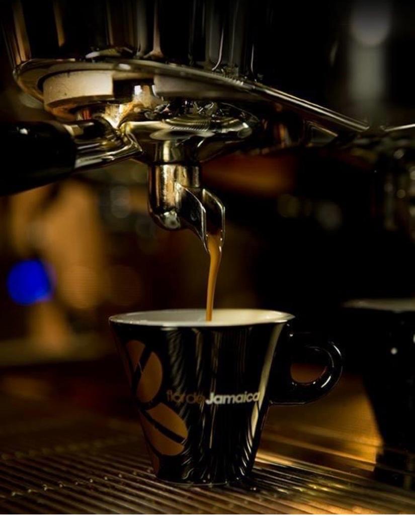 ZENIAL MOLINA coffee experience — Del propietario