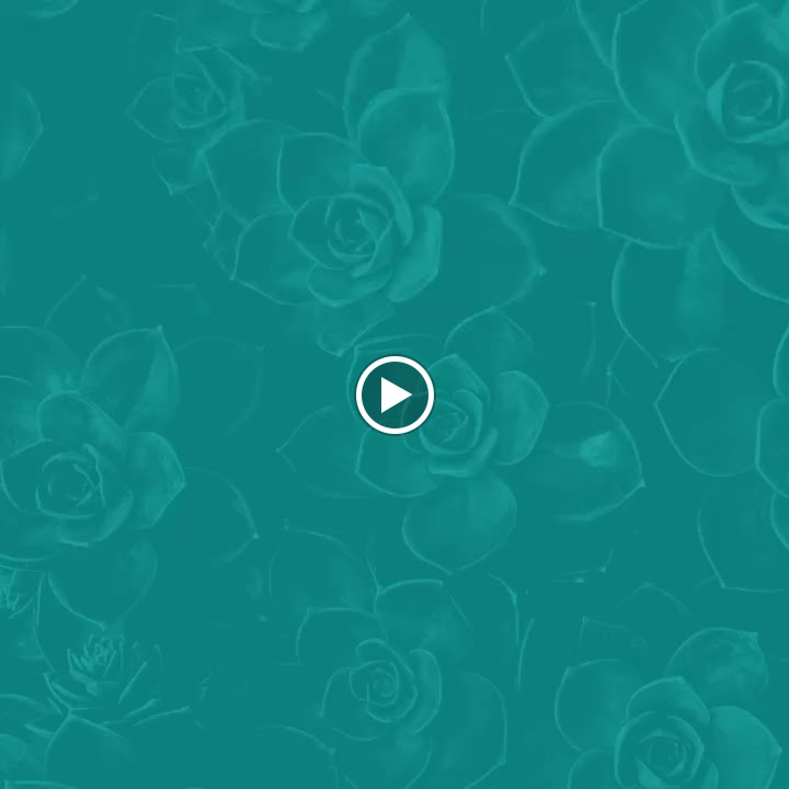 Salon de belleza LADY ( Maria Jesus Montanes ) — Videos
