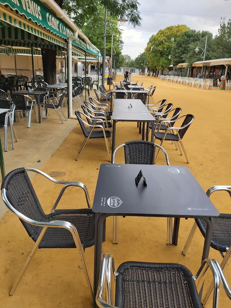 Bar terraza Venus