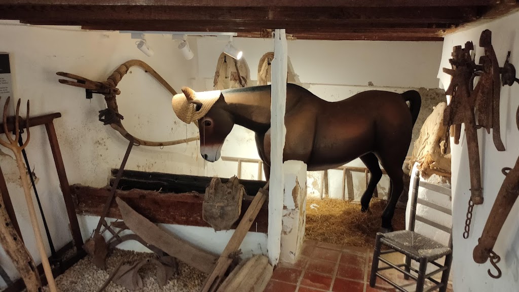 Casa Tradicional Benicarlanda