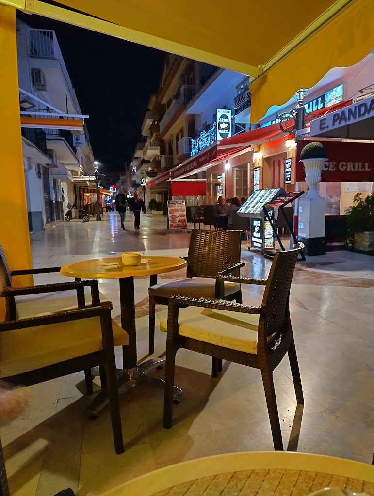 Bar Elefante — Ambiente