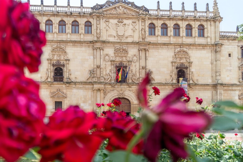 Universidad de Alcala