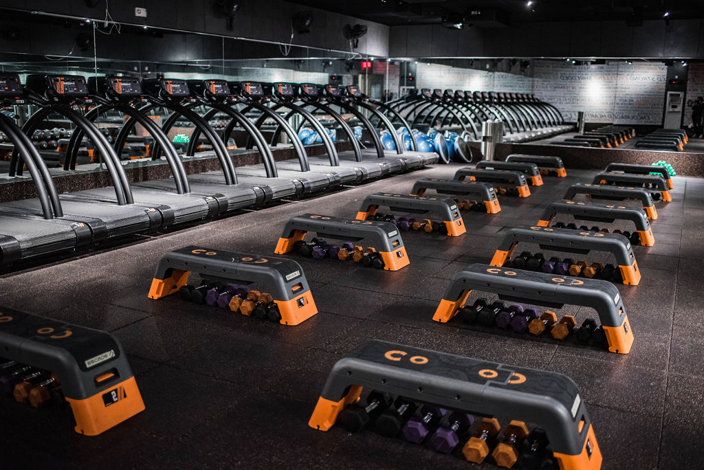  Shred415 Hamilton Quarter