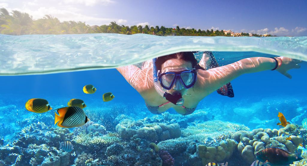 Speedy´s Schwimm und Tauchschule - Schwimmschulen Lauingen