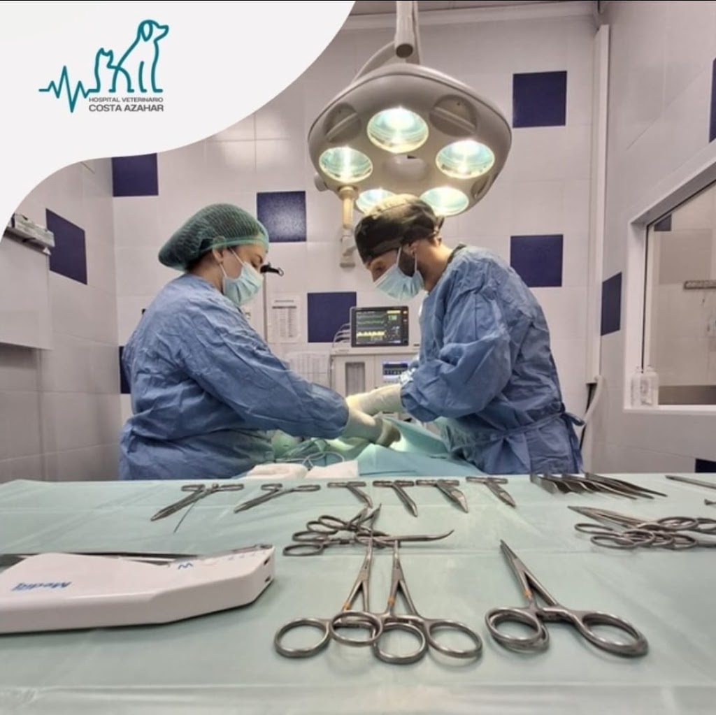 Hospital Veterinario Costa Azahar — Del propietario
