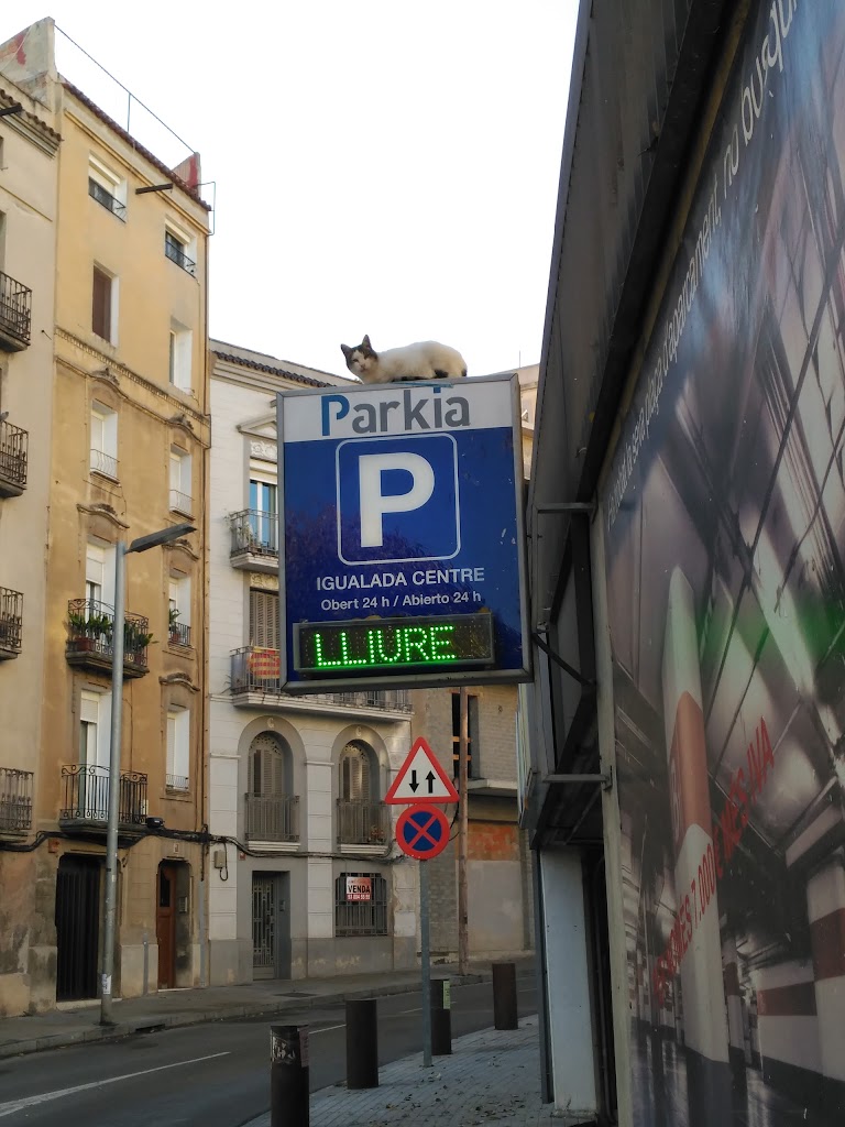 Parking PARKIA - Placa De La Creu. Igualada