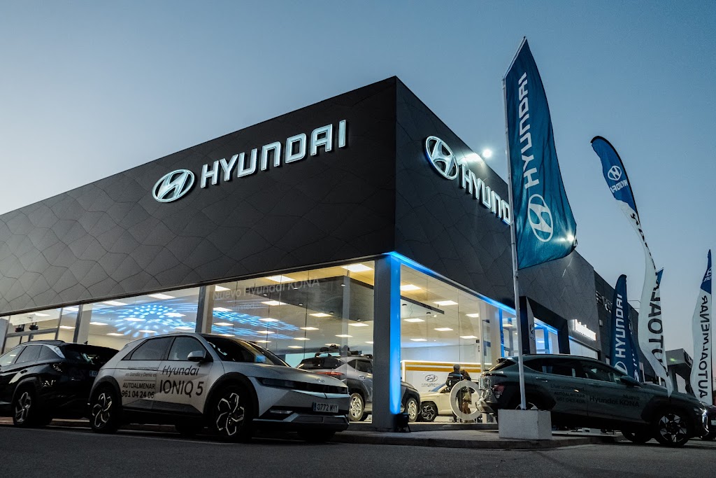 Hyundai Autoalmenar Gandia