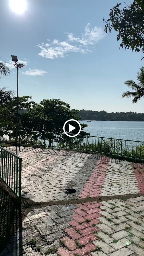 Videos