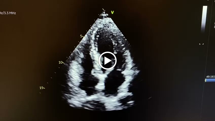 Dr. Heart Specialist International (Mount Elizabeth Novena Specialist Centre)