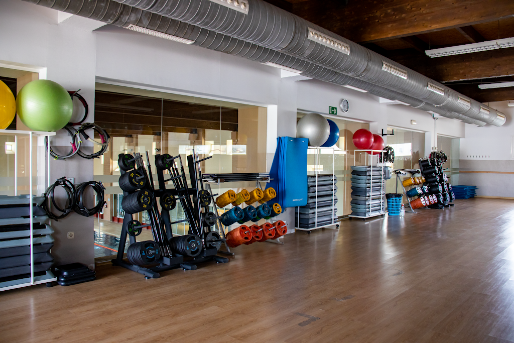 DeporOcio Institute.TSAF - TAFAD. Ciclo Formativo Superior