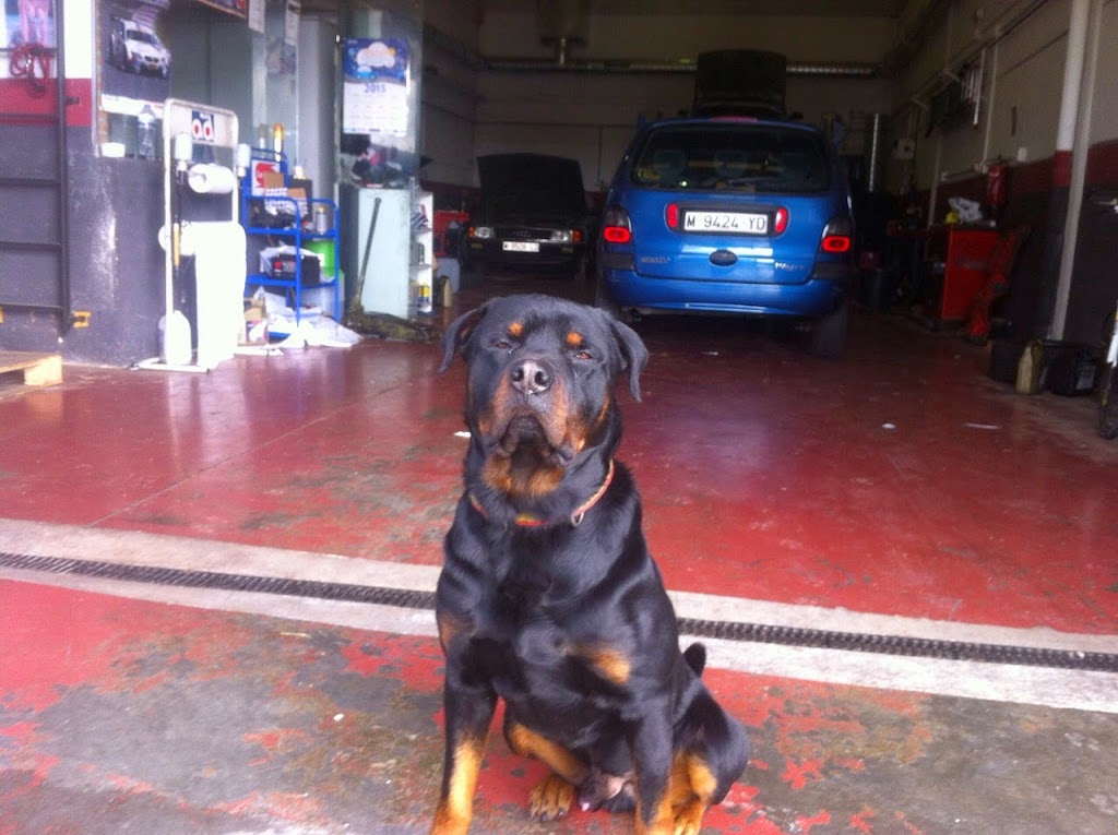Talleres Sennauto