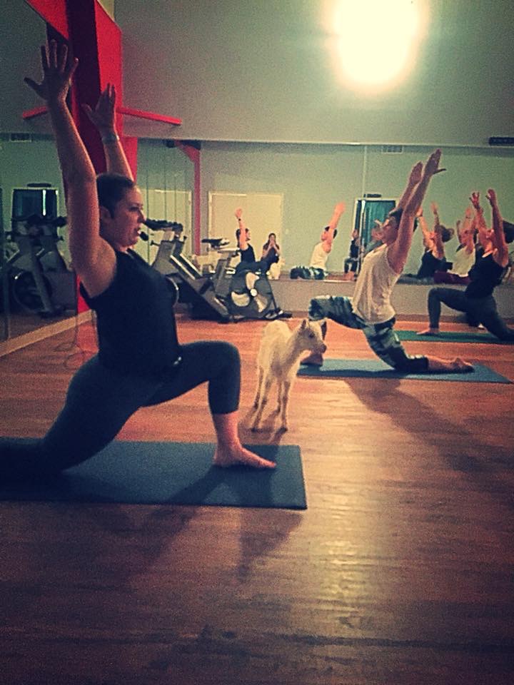  Red-X-Fitness Hartselle