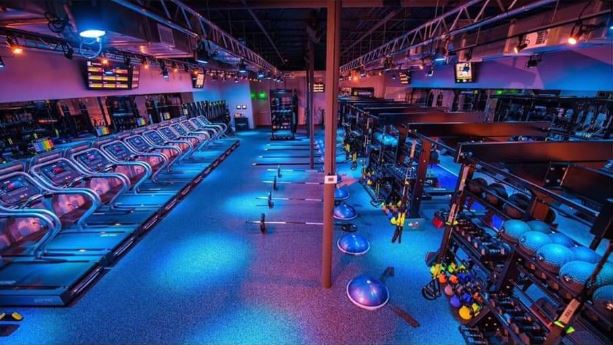  REGYMEN Fitness - Bluebonnet