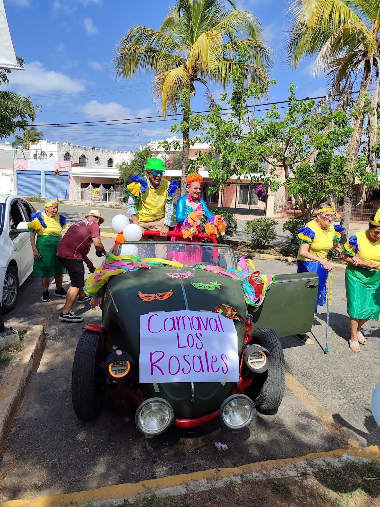 Residencia y Centro de Dia para Adultos Mayores Los Rosales — De los visitantes