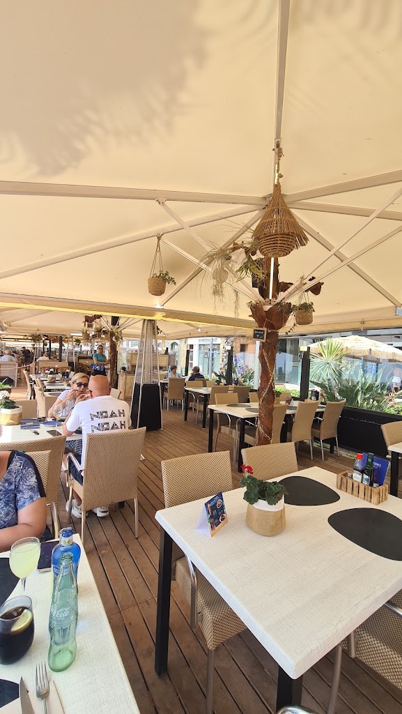 Les Petxines — Ambiente