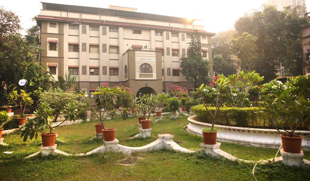 Dr. Masina Heart Institute