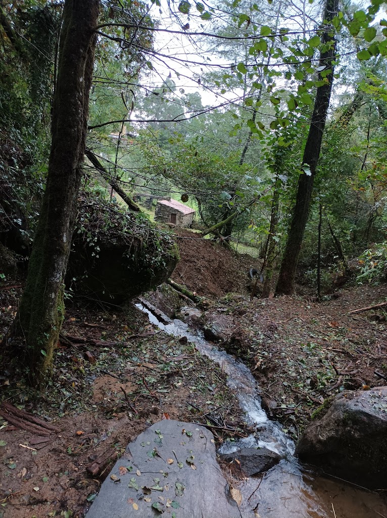 Ruta dos Muinos da Salgueira e do Monte de Pereiras