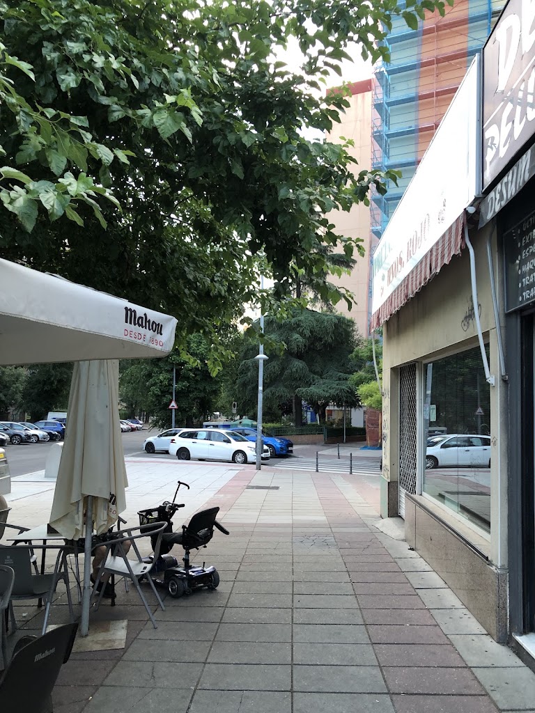 Bar Moca