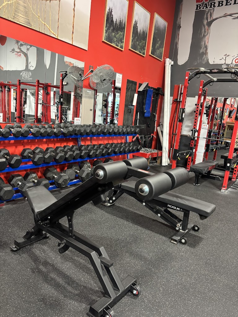  Spindell Barbell Club