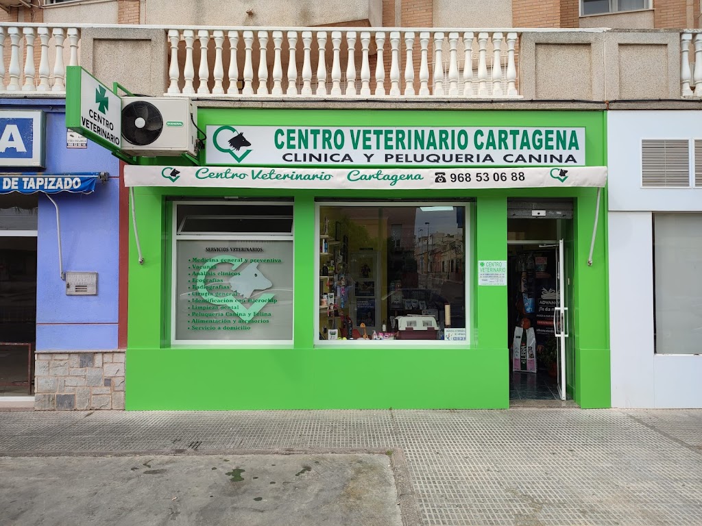 Centro Veterinario Cartagena