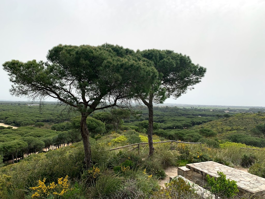 Punto Magico La Espartosa (7/7)