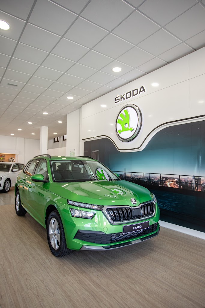 SKODA - Domingo Alonso La Palma — Interior
