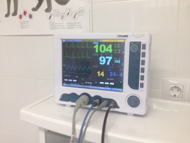 Clinica Veterinaria Pinar de Pozuelo — Del propietario