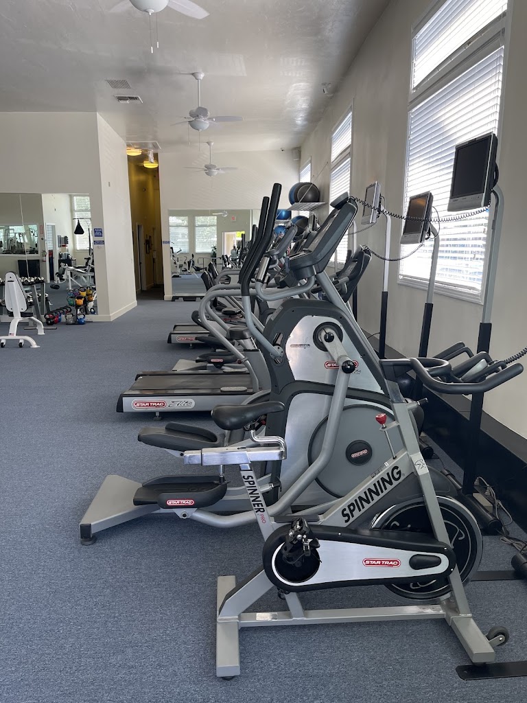  Figure 8 Women's Workout