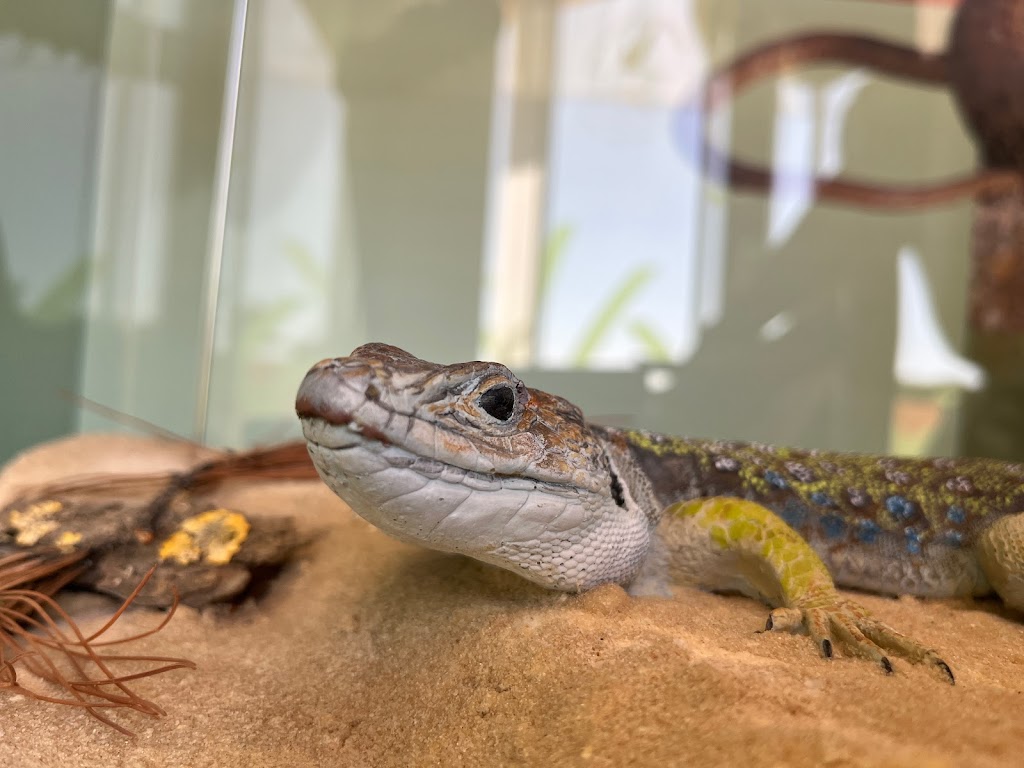 Centro de Interpretacion de Punta Entinas-Sabinar